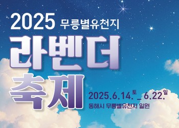 보랏빛 별의 물결 2025 무릉별유천지 라벤더 축제